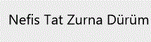 Nefis Tat Zurna Dürüm Mevlana Mah